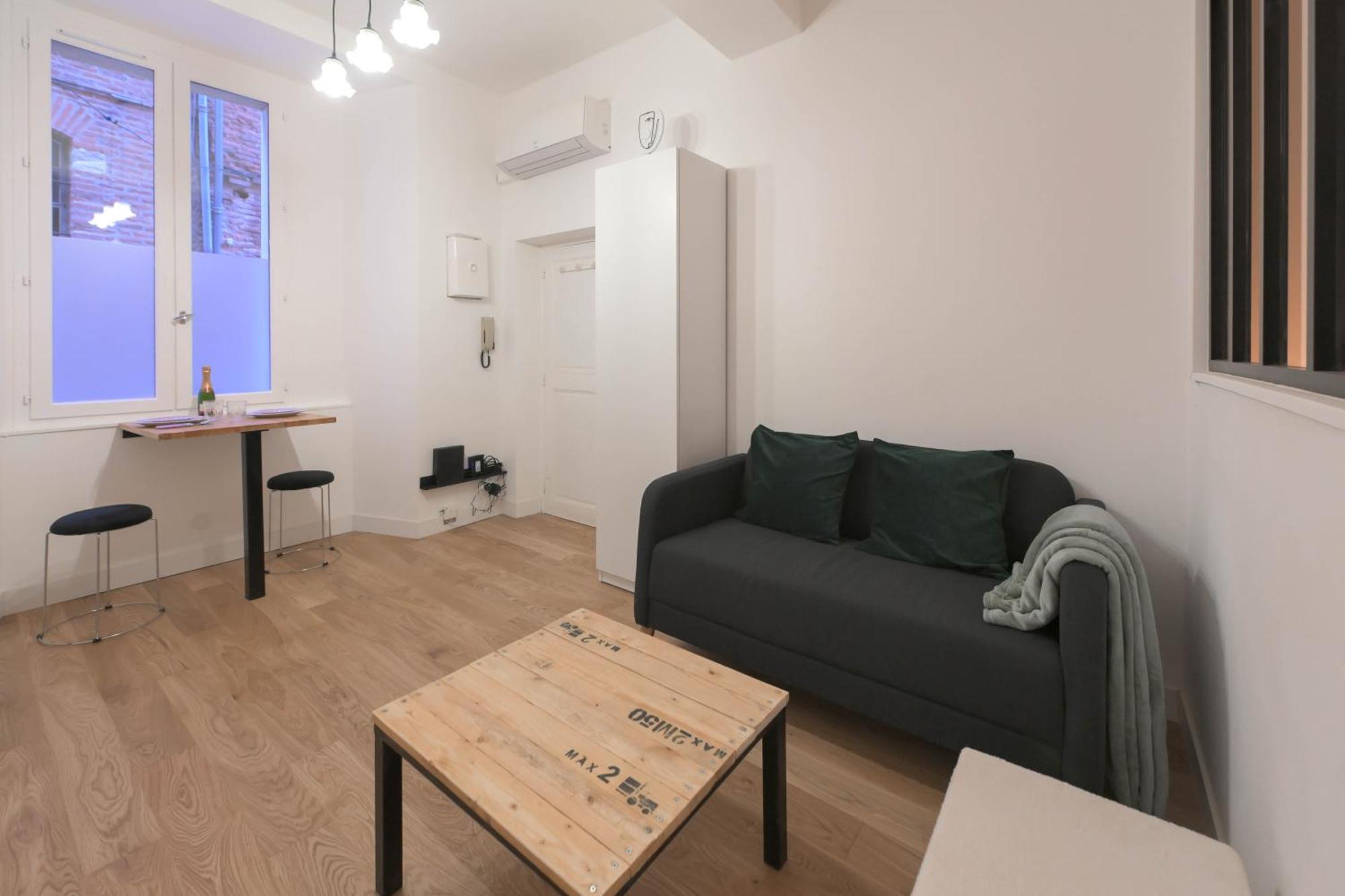 Appartement T1 Bis L'Enfilade อัลบี ภายนอก รูปภาพ